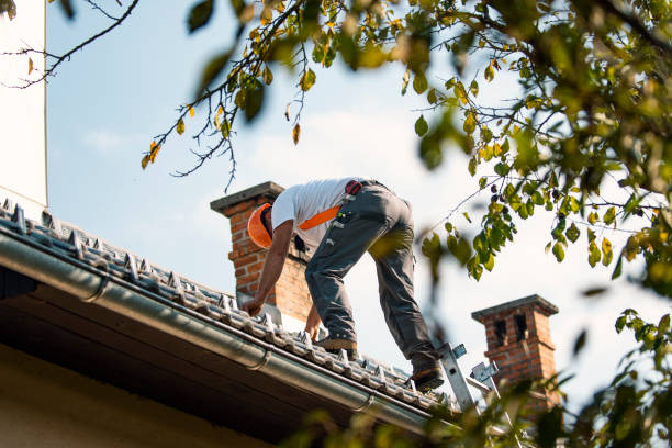 Best Roof Waterproofing Services  in Cadillac, MI