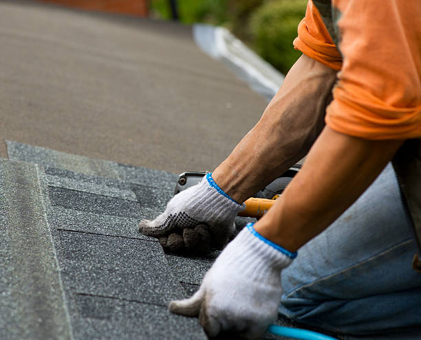 Best Roof Gutter Cleaning  in Cadillac, MI