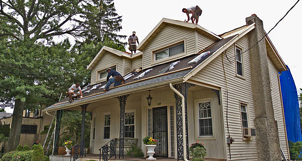 Best Storm Damage Roof Repair  in Cadillac, MI