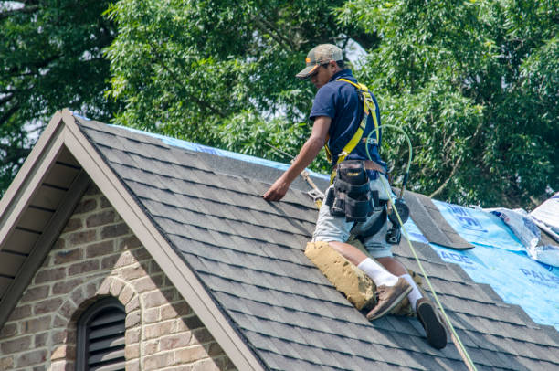 Best Roofing Contractor Near Me  in Cadillac, MI