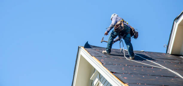 Sealant for Roof in Cadillac, MI